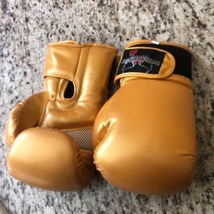 Kickboxing Gloves